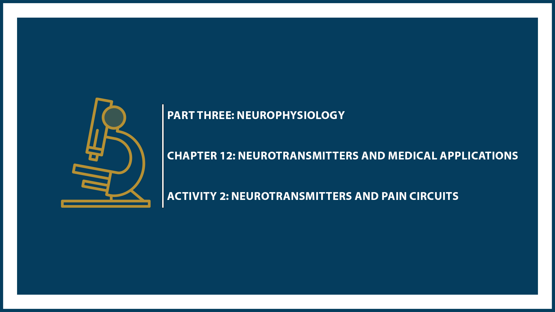 Unit Three: (Suspended part) Chapter 12 - Document 2: Neurotransmitters and pain circuits